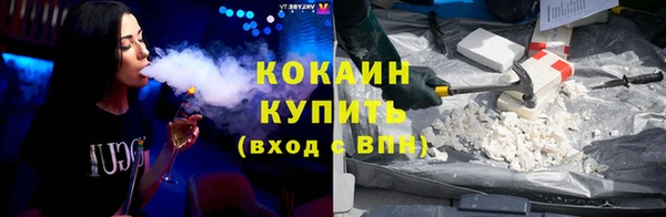 дживик Алексин