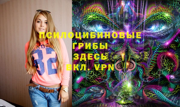 молекула духа Алзамай