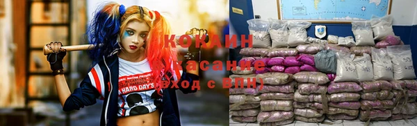 винт Карпинск