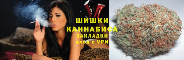 молекула духа Алзамай
