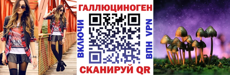 Купить закладки  Тимашёвск  Псилоцибиновые грибы Magic Shrooms 